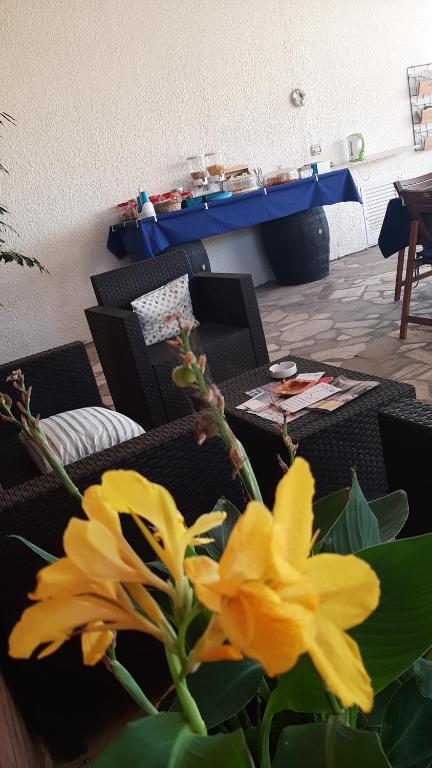 Posezení v ubytování B&B Il Cedro
