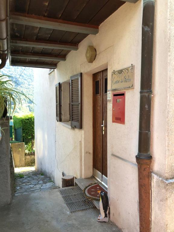 a cat sitting in front of a building at Casa dell'Arte in Lugano