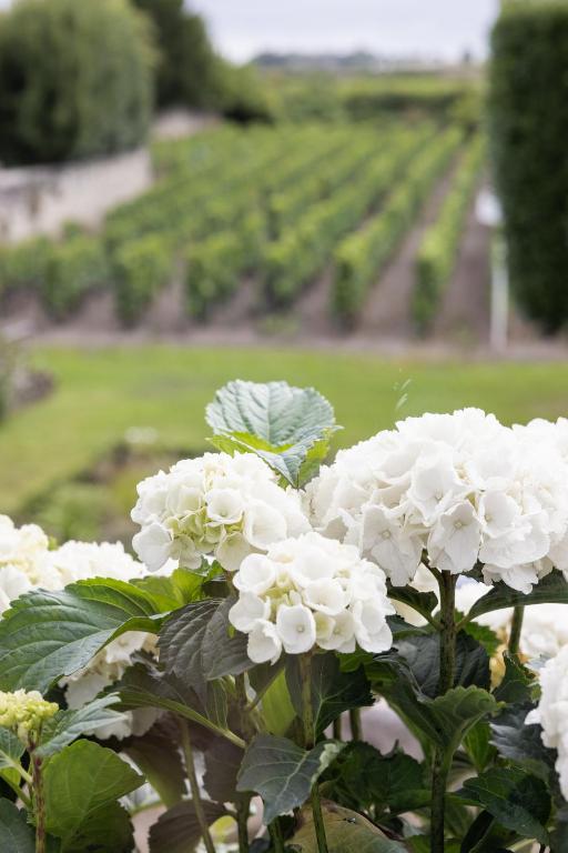 Hotel Porte Brunet - 3