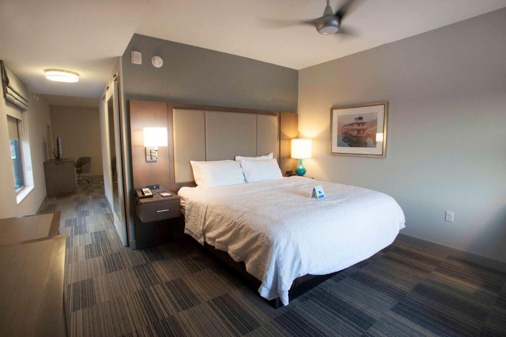 Hampton Inn & Suites St. Paul Downtown - Suite King