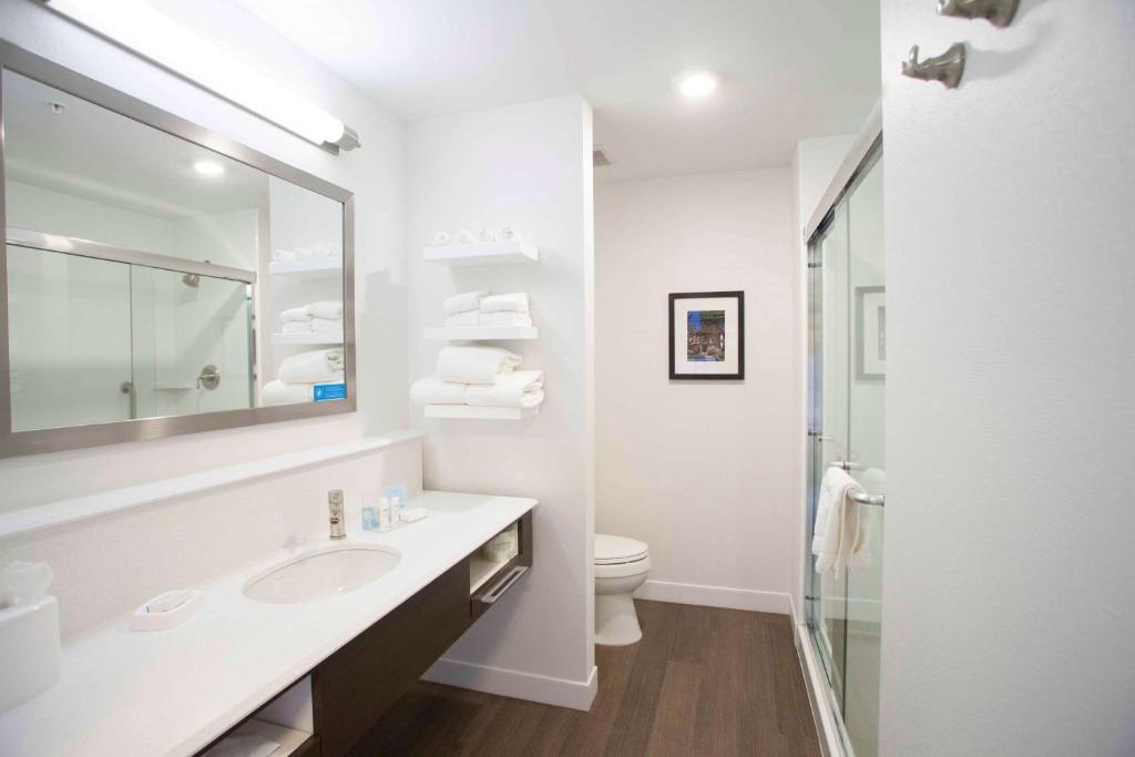 Hampton Inn & Suites St. Paul Downtown - Habitación Con Cama Extragrande - No Fumadores