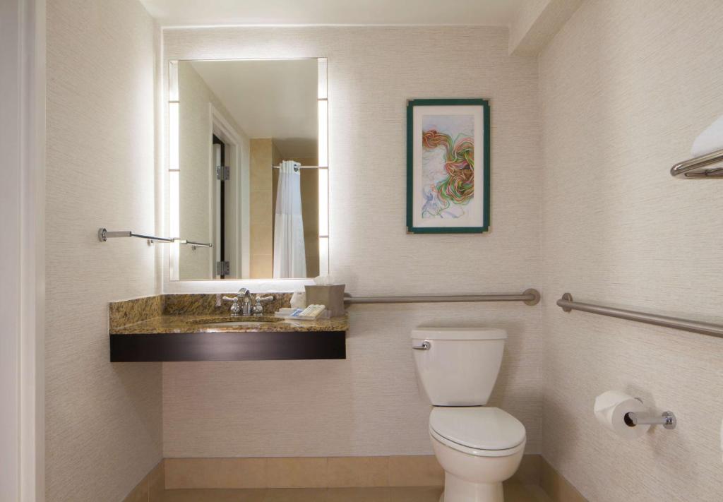 Hilton Garden Inn Austin Downtown-Convention Centerにあるバスルーム