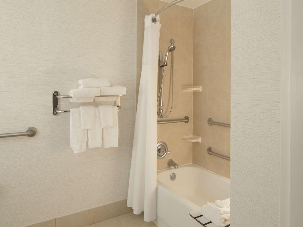 オースティンにあるHilton Garden Inn Austin Downtown-Convention Centerのバスルーム(バスタブ、シャワー、タオル付)