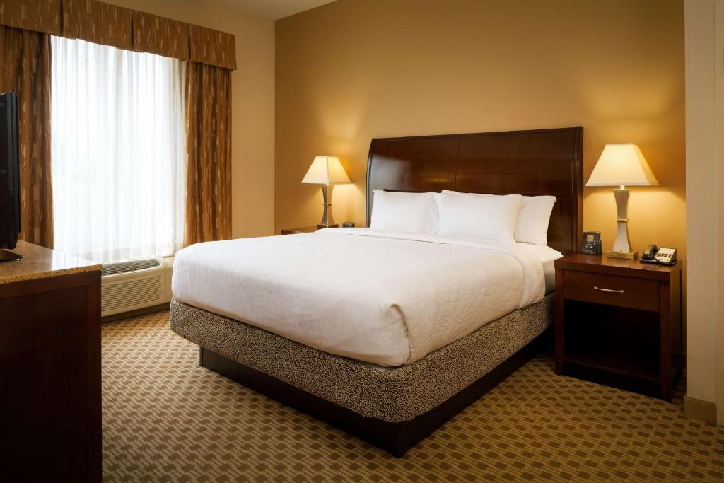 Hilton Garden Inn Cincinnati Blue Ash - Suite King De Una Habitación Con Sofá Cama