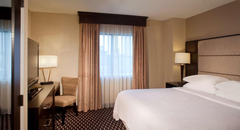 Embassy Suites by Hilton Houston Near the Galleria - Suite Premium King - No Fumadores