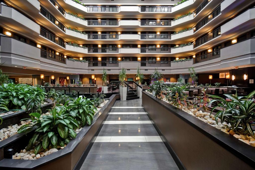 Ein Blick auf das Thermium eines großen Gebäudes mit Pflanzen in der Unterkunft Embassy Suites by Hilton Dulles Airport in Herndon