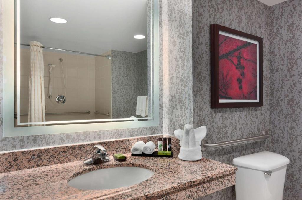 Ein Badezimmer in der Unterkunft Embassy Suites by Hilton Dulles Airport