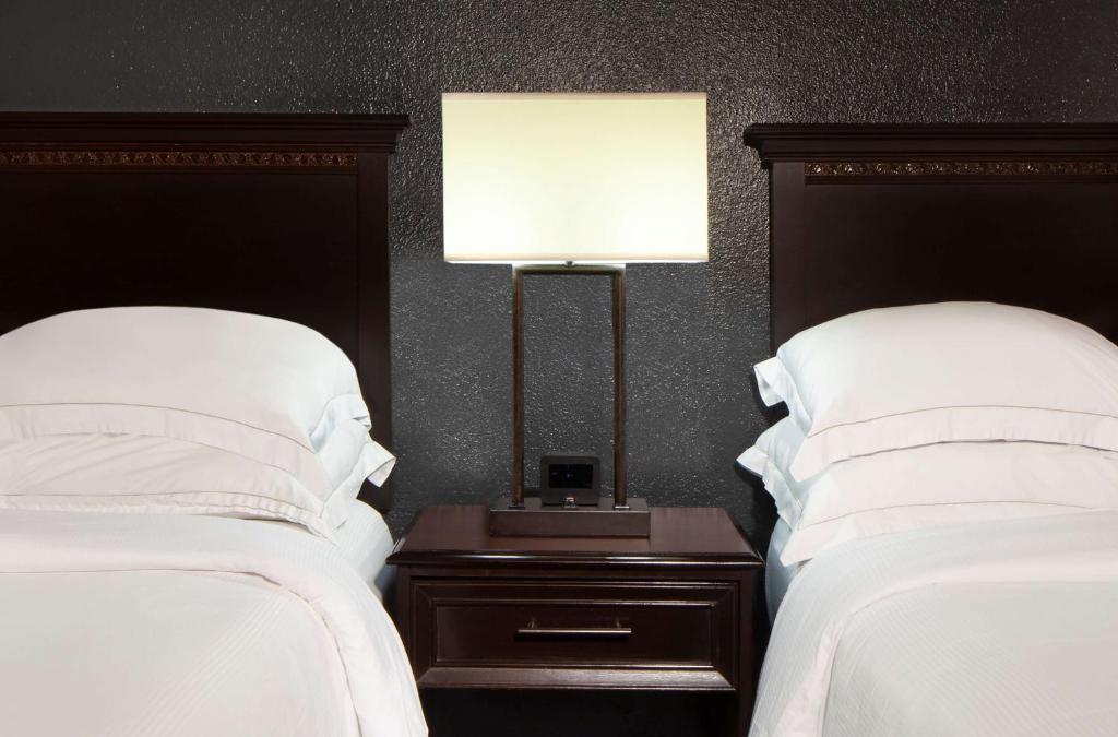 Hilton Houston NASA Clear Lake - Double Room With Two Double Beds - Pure Wellness
