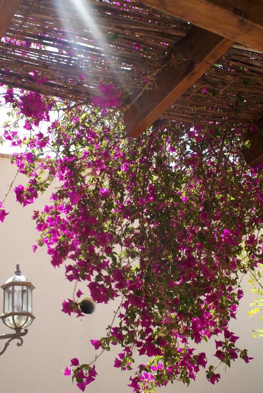 Fotografie z fotogalerie ubytování Hotel Mayarí v destinaci Calabardina