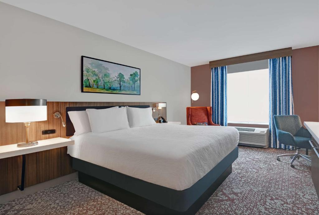 Hilton Garden Inn Madison Huntsville Airport - Kamer Met Kingsize Bed - Toegang Voor Gehoor