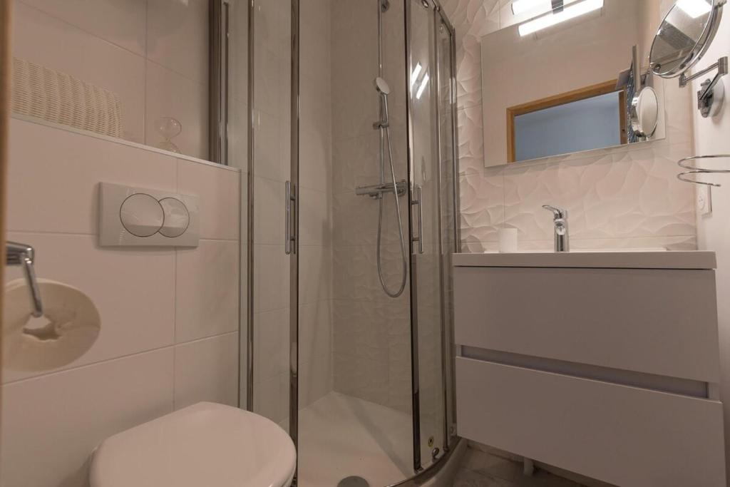 a bathroom with a shower and a toilet and a sink at Le Petit Prince- Studio cosy 2 pers -métro Valmy in Lyon