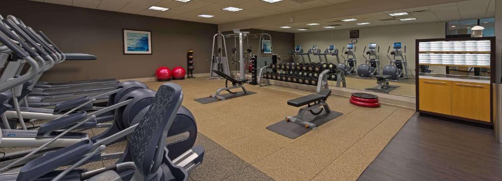 Fitness centrum a/nebo fitness zařízení v ubytování Hilton Albany