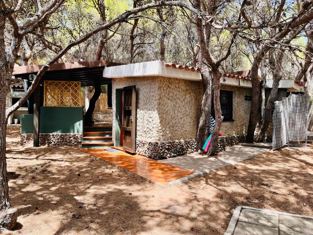 una casa en el bosque con un árbol en Rustico Porto Pino 30 mt dalla spiaggia, en Porto Pino
