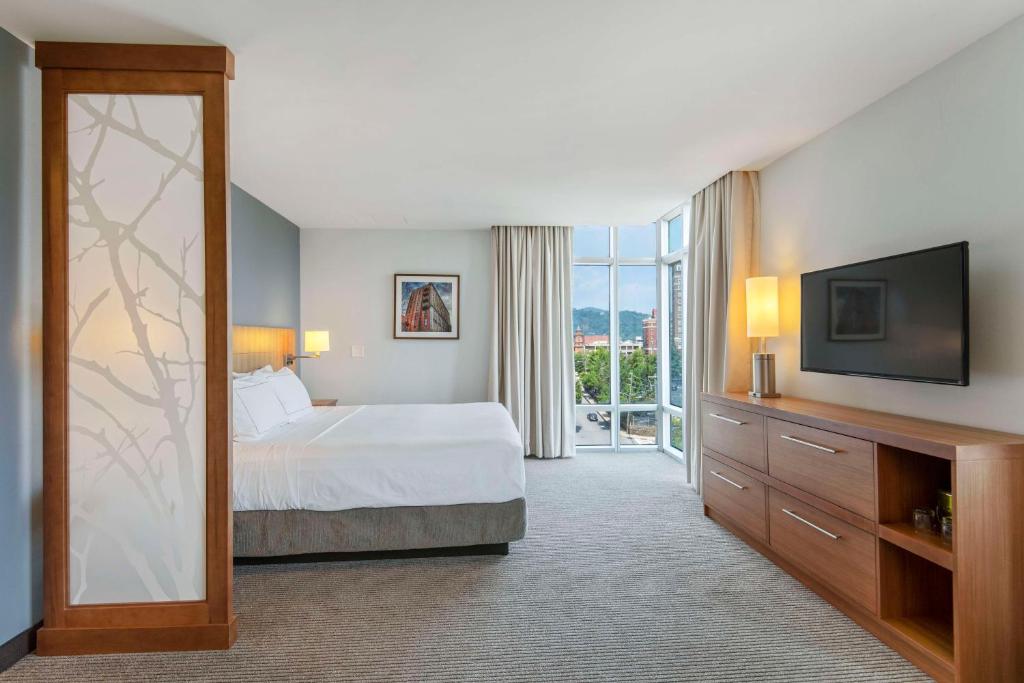 DoubleTree by Hilton Asheville Downtown - Corner King Room Avec Vue Sur La Ville