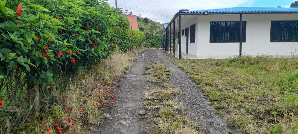 una strada sterrata vicino a una siepe con fiori rossi di FINCA SAN JUAN - SUTATENZA a Sutatenza