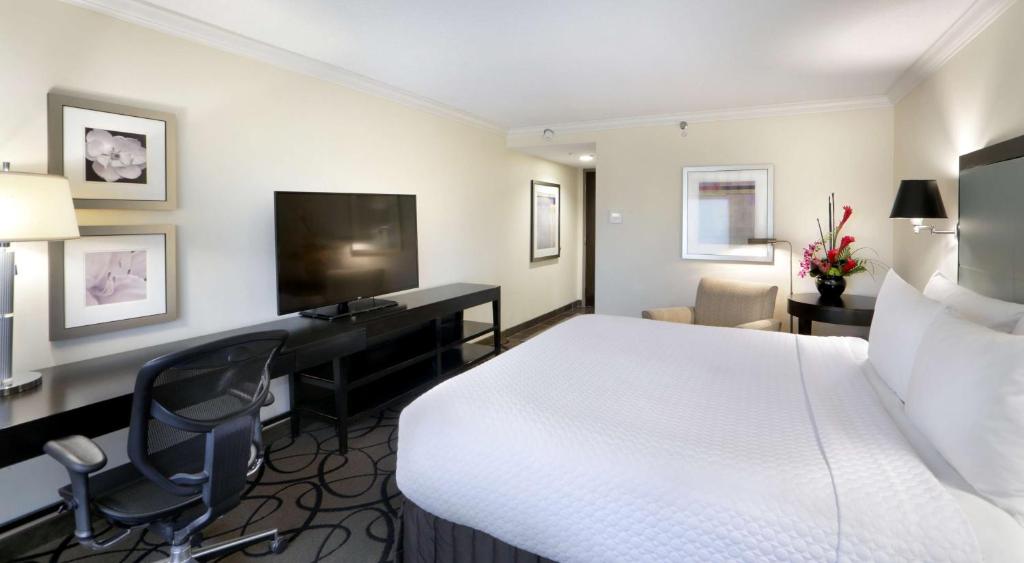The Verve Boston Natick, Tapestry Collection by Hilton - Cuarto King