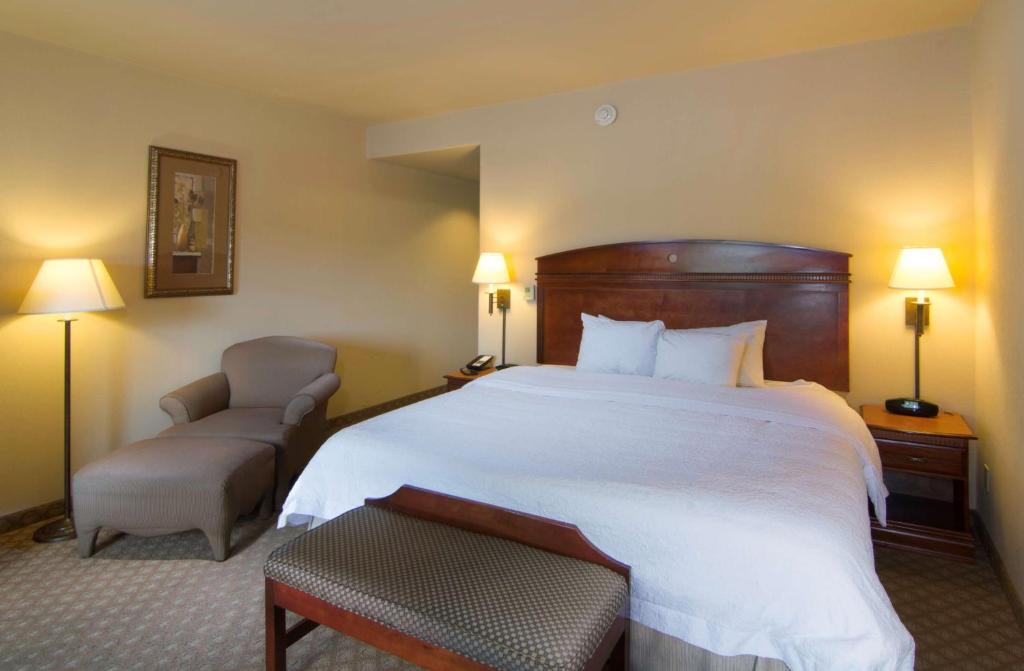 Hampton Inn and Suites-Brownsville - Rey Estándar