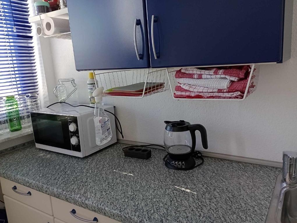 eine Küchentheke mit einer Mikrowelle und einem Mixer in der Unterkunft Bizarres Wohnen in Sankt Leon-Rot