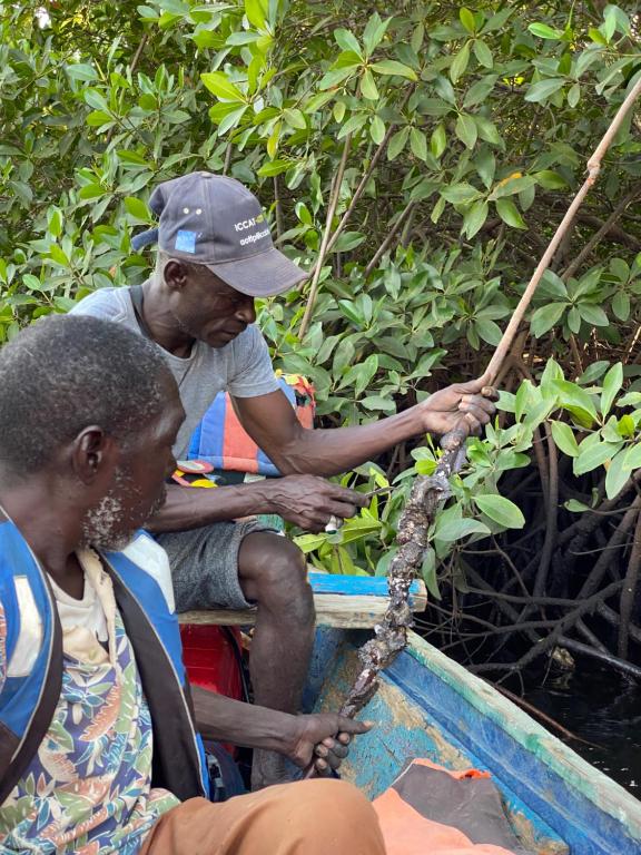 two men in a boat working on a plant at Toubacouta Lodges in Toubakouta