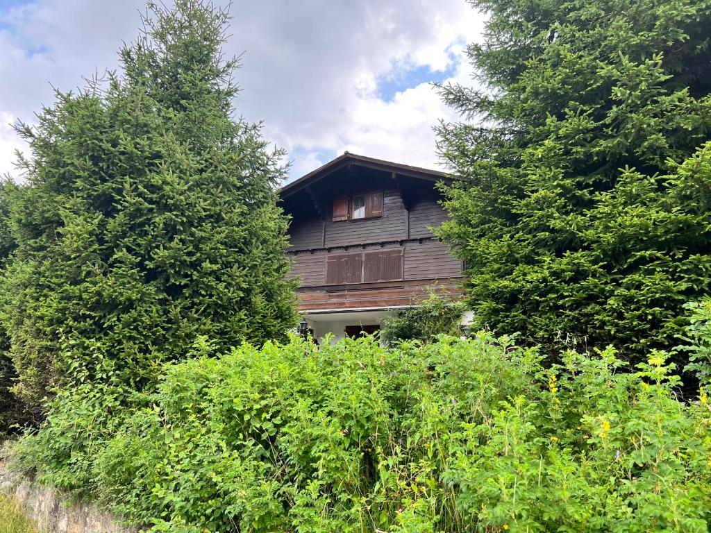 a wooden house surrounded by trees and bushes at Chalet Hildegard in Plaffeien