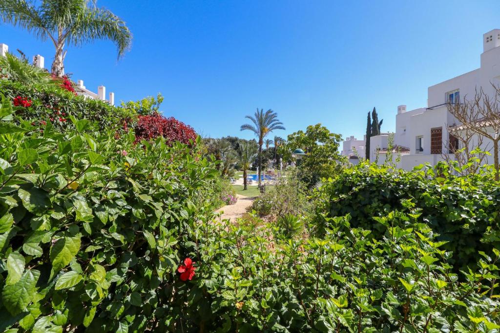 Zahrada ubytování Los Monteros Palm Beach - ground floor apartment