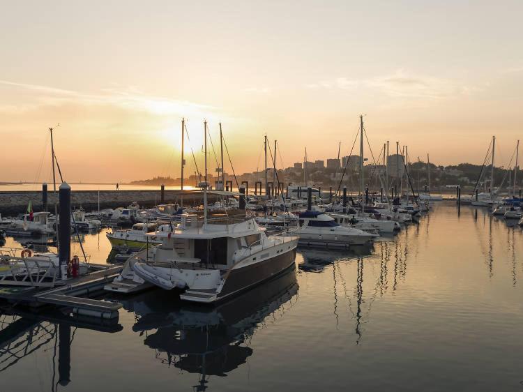 a group of boats docked in a marina at sunset at Oporto, sea view and marina in Canidelo