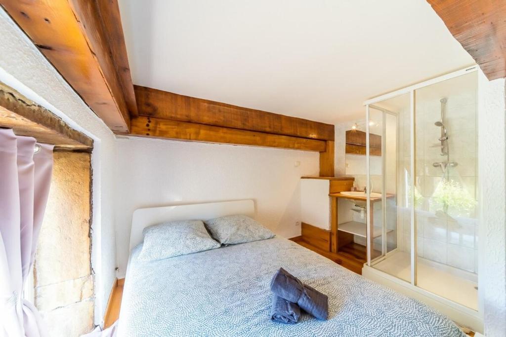 Postel nebo postele na pokoji v ubytování The charming Fleury 2 bedrooms Oullins