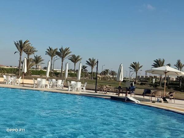 Al Ḩammām的住宿－شاليه الصفوة للايجار بقرية جامعة الدول العربية بالساحل الشمالي，一个带椅子和遮阳伞的游泳池以及棕榈树