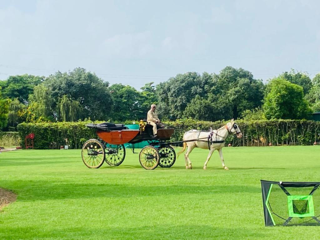 Hosté ubytování Heritage Village Resort & Spa Manesar-Gurgaon