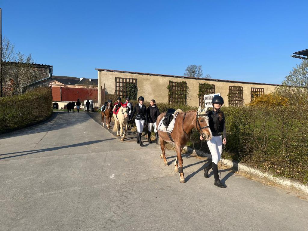 Hosté ubytování Dvůr Nové Zámky