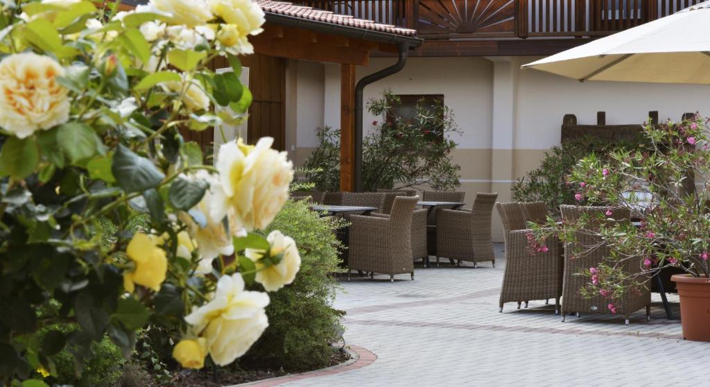 Zahrada ubytování Pension zur Sonne