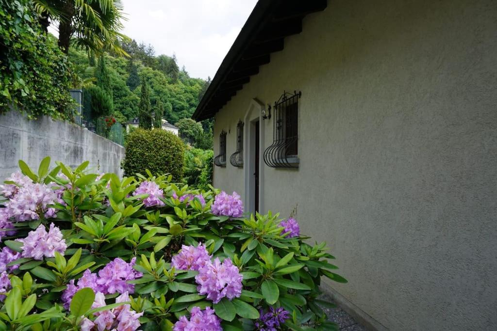Zahrada ubytování Casa Verbanella