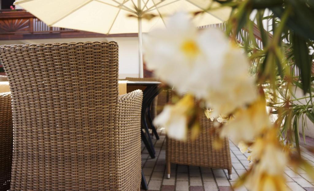 Fotografie z fotogalerie ubytování Pension zur Sonne v destinaci Illmitz
