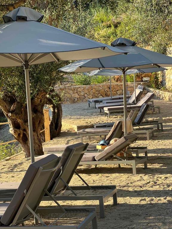 a row of lounge chairs and umbrellas on a beach at Sivota Deamaris Luxury Boutique Hotel in Syvota