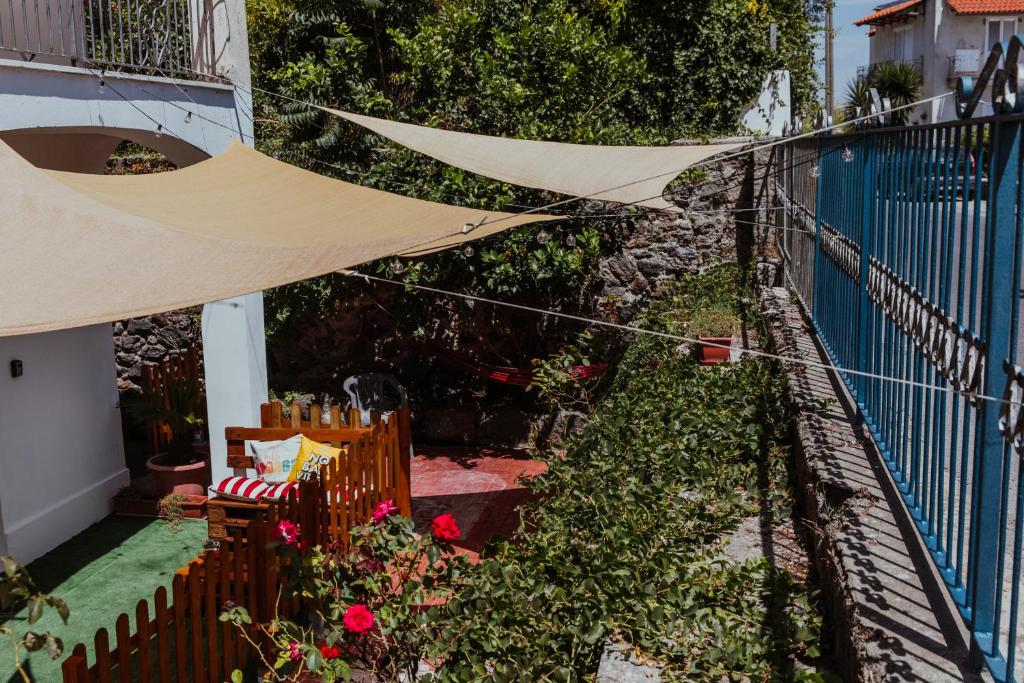 Foto dalla galleria di Lemon Tree Rooms a Ischia