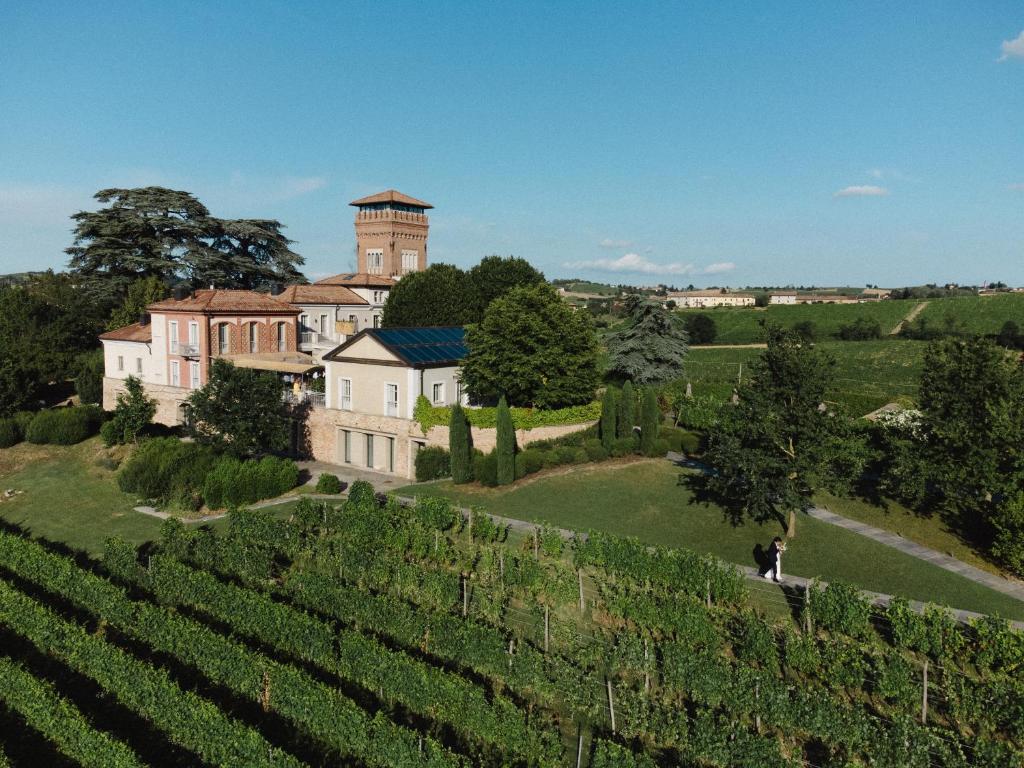 an aerial view of a estate with vines at Villa Pattono Relais in Costigliole dʼAsti