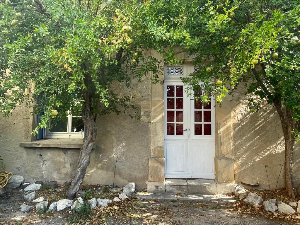 a house with a white door and a tree at Du côté de chez nous in Cuxac-dʼAude