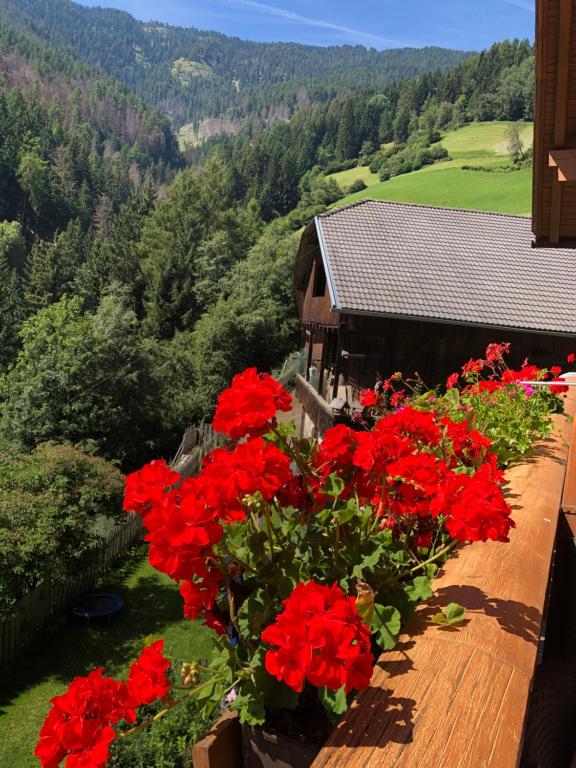 Výhľad na hory alebo výhľad na hory priamo z apartmánu