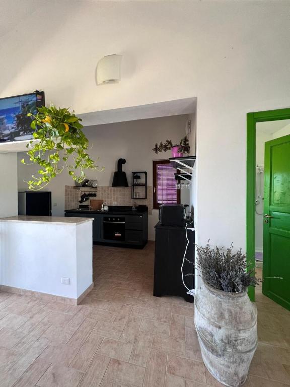 Kuchyň nebo kuchyňský kout v ubytování Casa laggiù