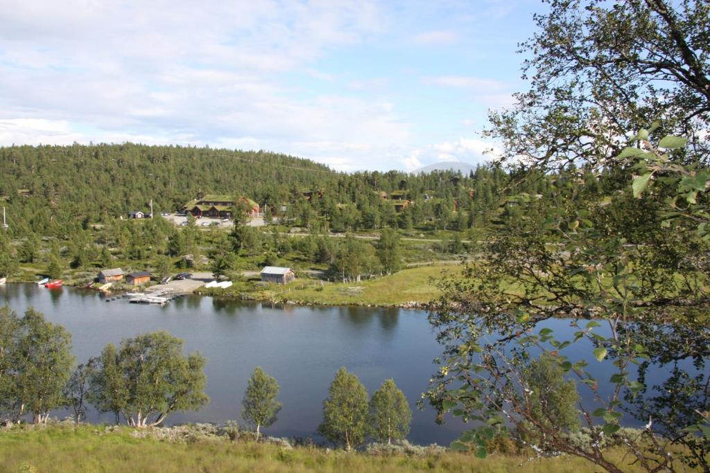 Blick auf einen See mit Bäumen und Häusern in der Unterkunft Lemonsjø Fjellstue og Hyttegrend in Randsverk