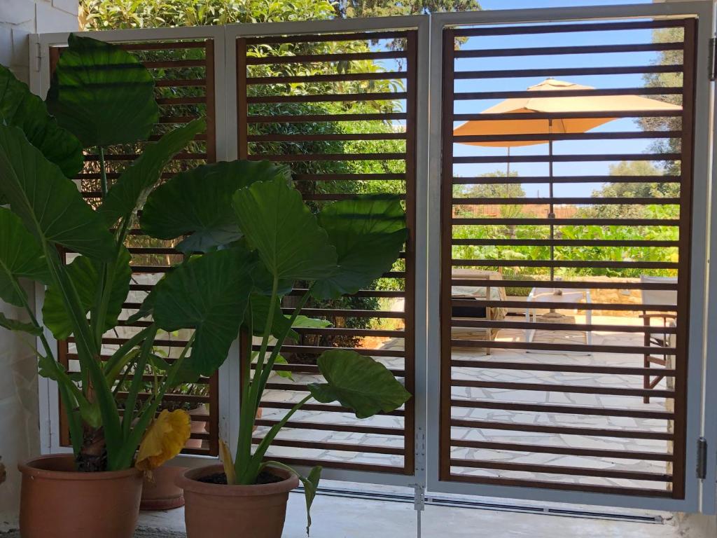 Zahrada ubytování Private Garden House Rethymno Crete