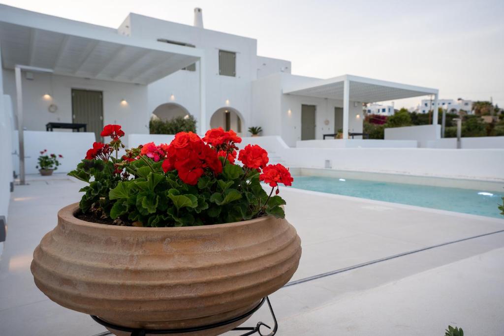a large planter with red flowers in front of a house at Paros Breeze Luxury Villa in Drios
