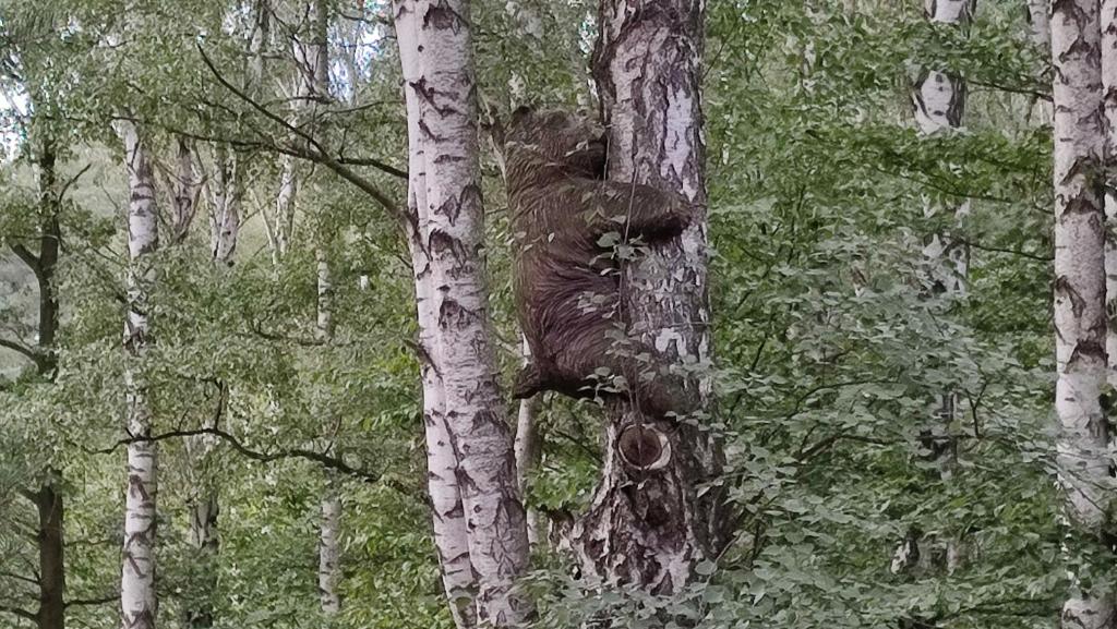 Příroda nedaleko apartmánu