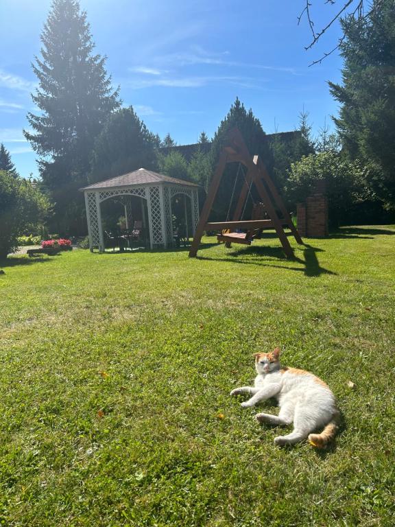 Zwierzęta zatrzymujące się w obiekcie Apartamenty Stokrotka