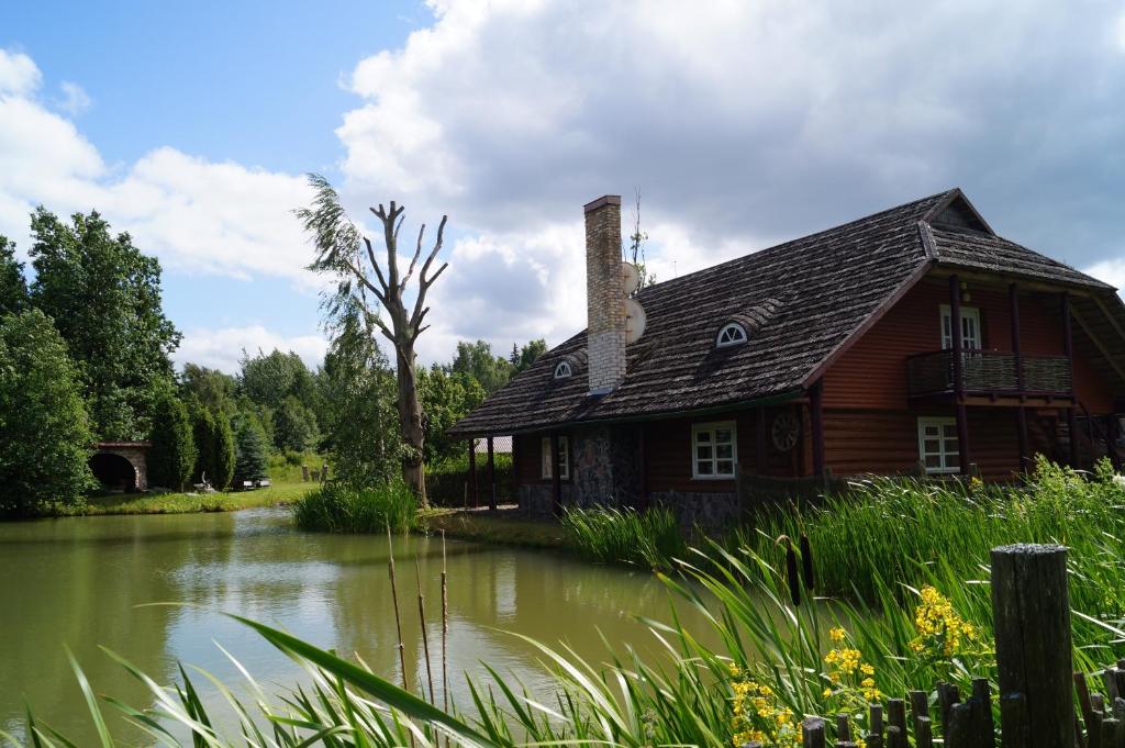 a house sitting in the middle of a river at Meškiai in Meškiai