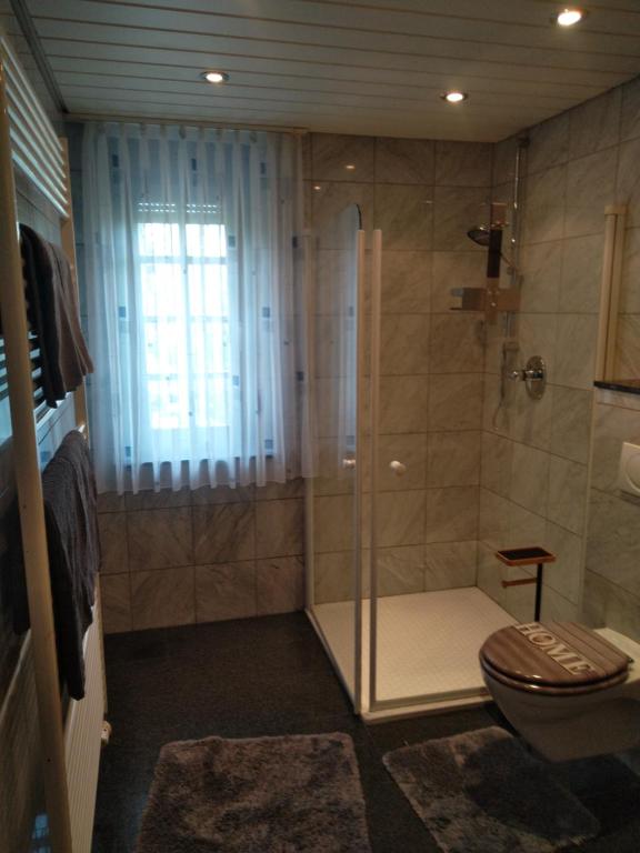 a bathroom with a shower and a toilet at Posträuberquartier in Gladenbach