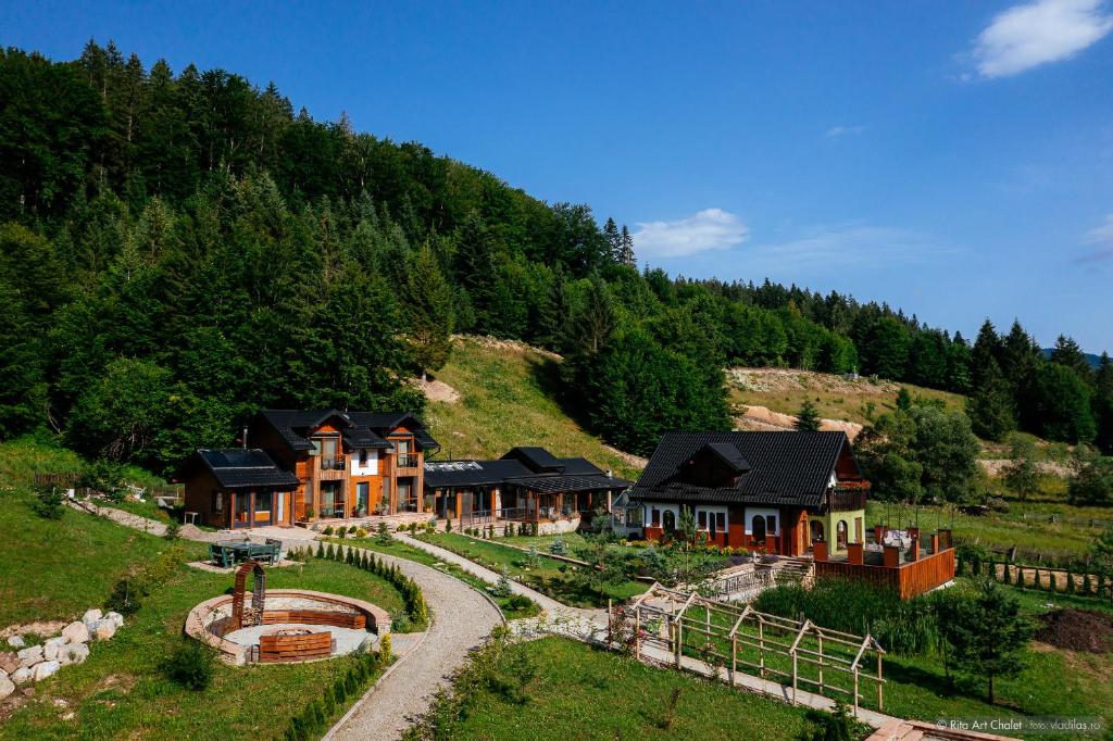 Rita Art Chalet Voronet - Chalet