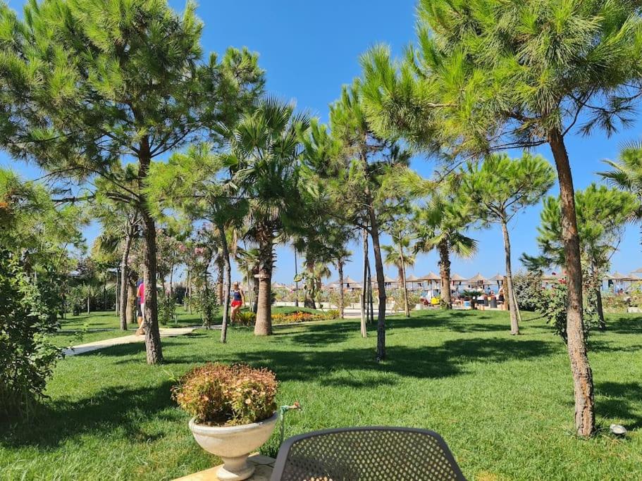 Penthohuse with two bedrooms, Located near beach - Image 6