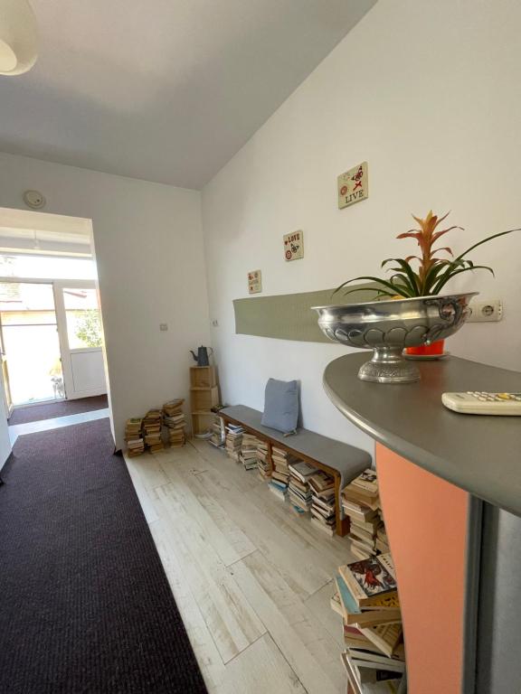 Posezení v ubytování Casa Trandafirilor