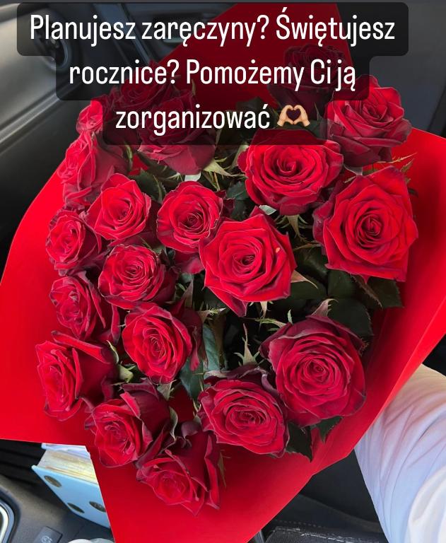 Fotografia z galérie ubytovania Spółdzielcza 22 Apartament Sky Line v destinácii Kłodzko